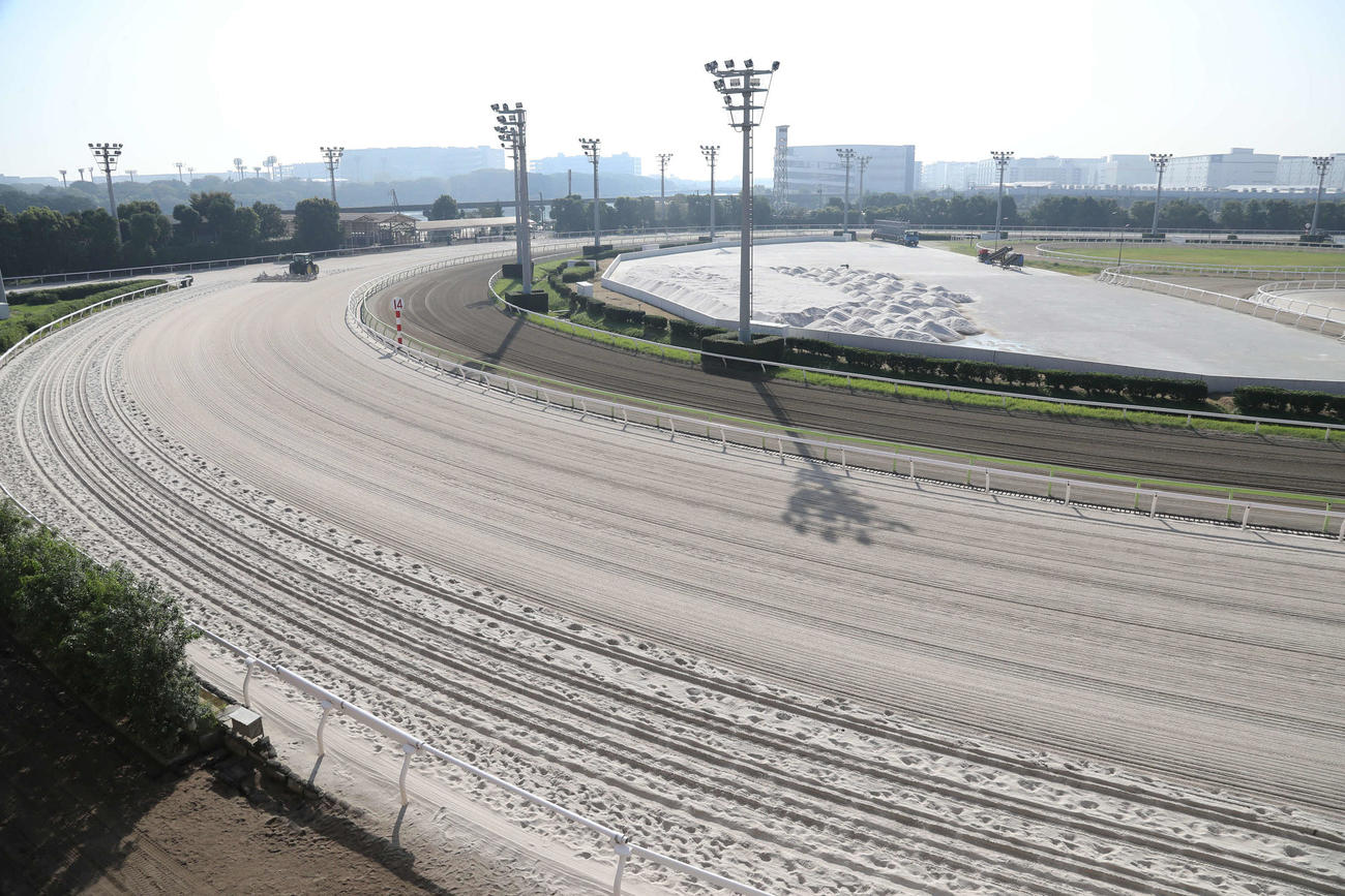 大井競馬場
