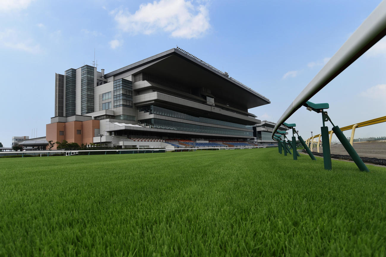 新潟競馬場（2015年7月31日撮影）
