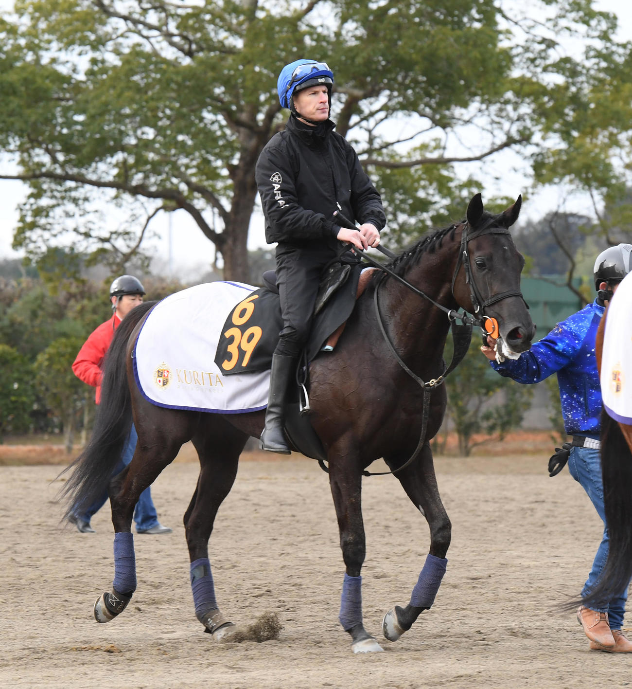 ジークルーネに騎乗し追い切りしたキングスコート騎手（撮影・柴田隆二）