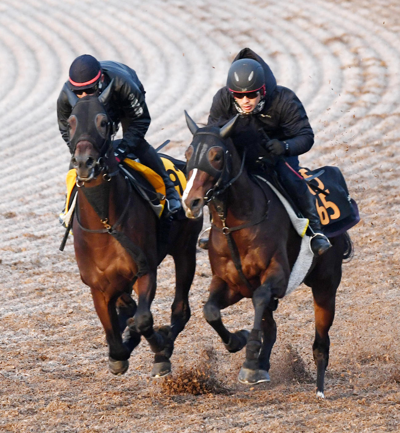 アラタ（左）はロードヴェスパーと併せて追い切る（撮影・柴田隆二）