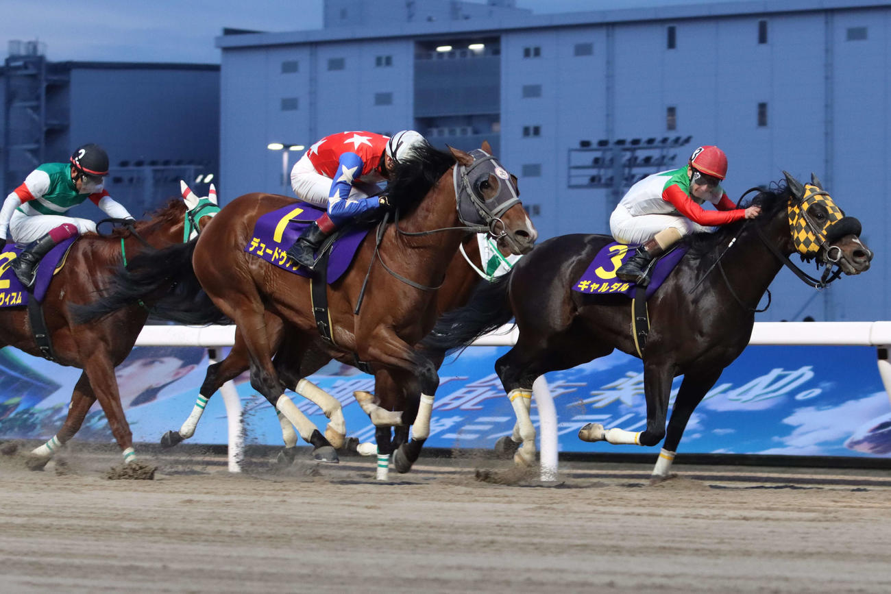 外からゴール前で差し切り川崎マイラーズを制したデュードヴァンと御神本訓史騎手