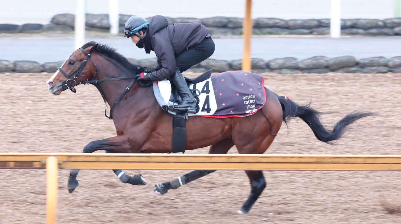 CWコースで追い切るトゥードジボン