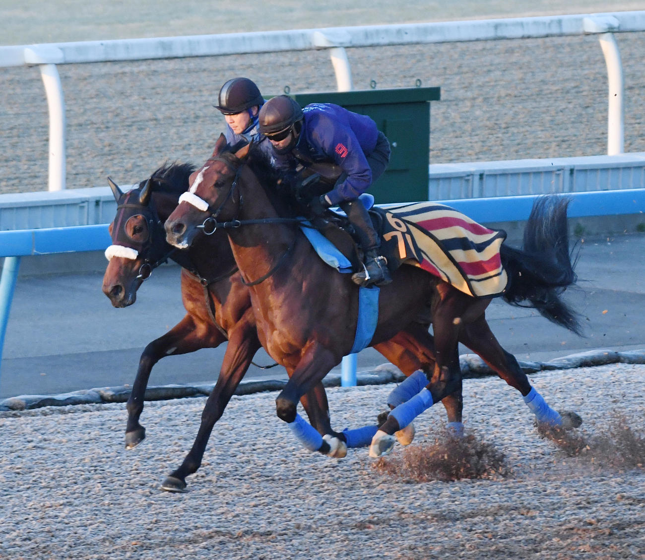 エリカリーシャン（奥）はスピノザと併せて追い切る（撮影・柴田隆二）