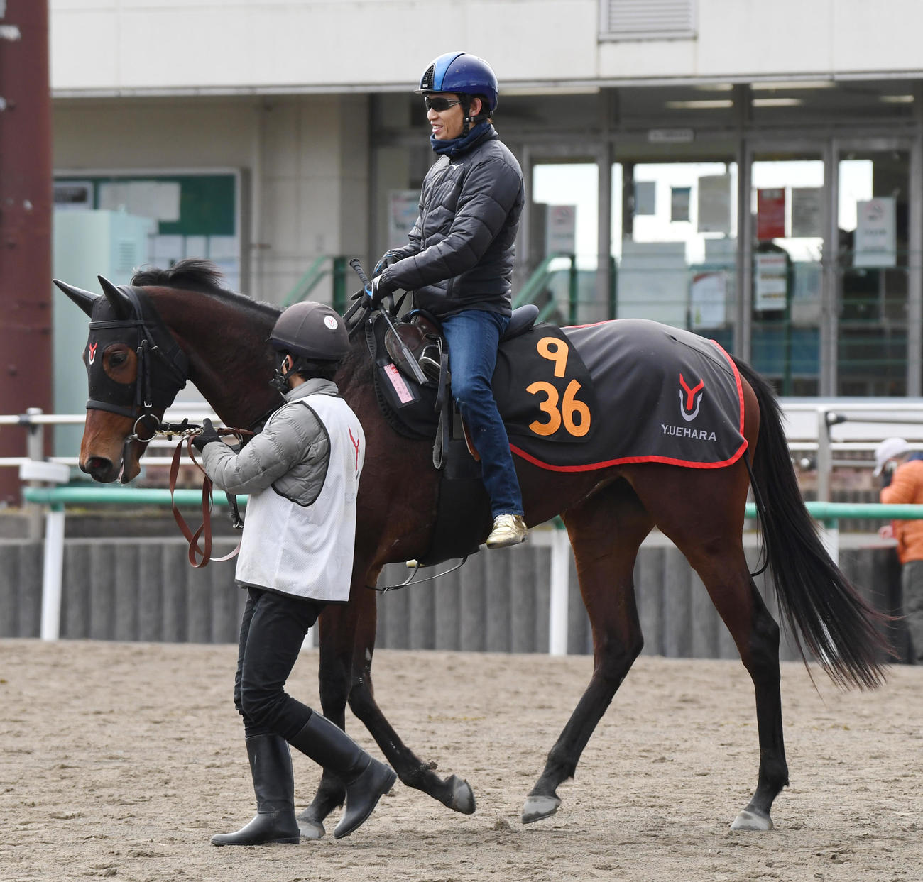 田辺騎手を背にしたニシノティアモ（撮影・柴田隆二）