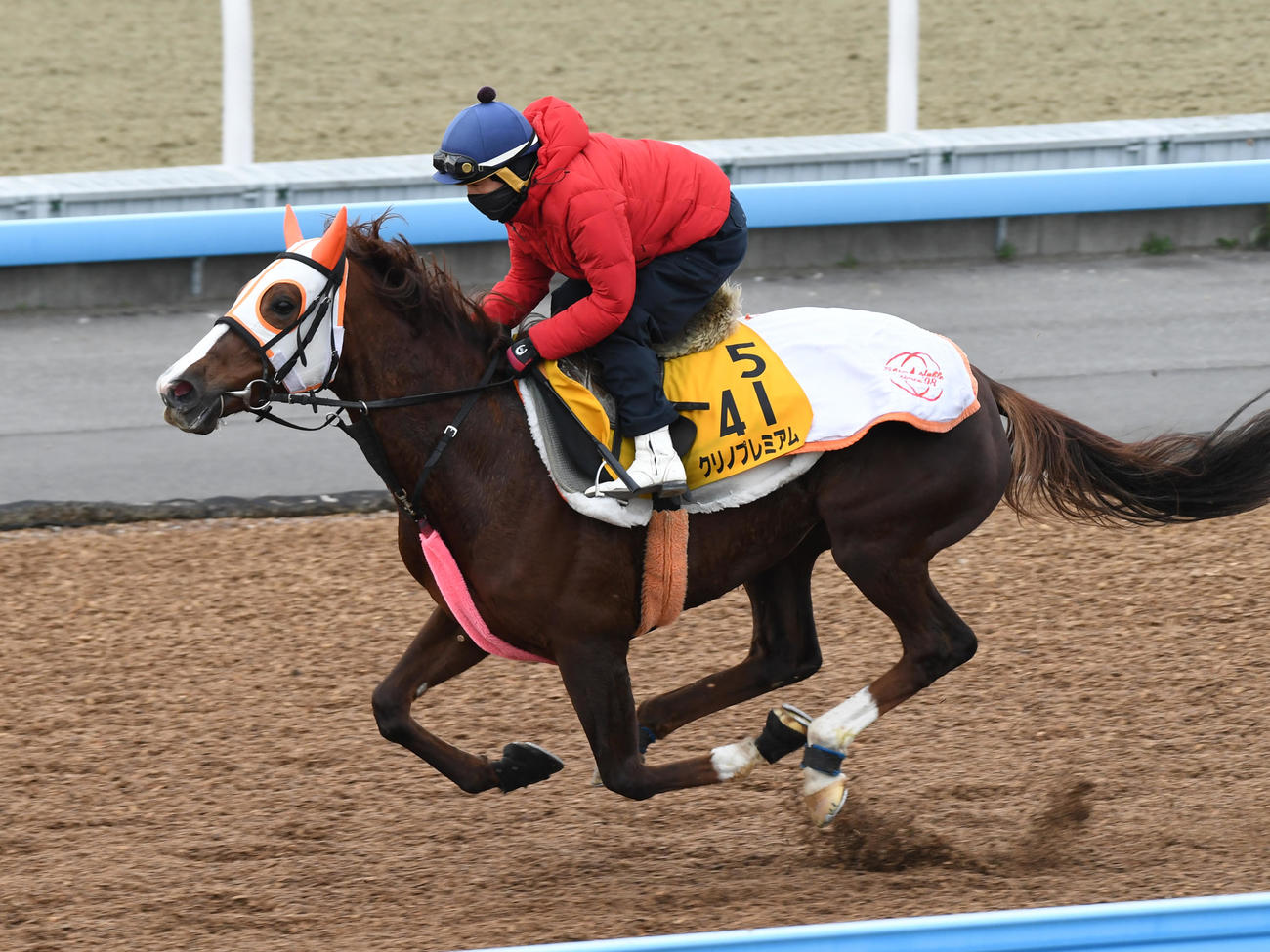 1月3日、ウッドで追い切るクリノプレミアム