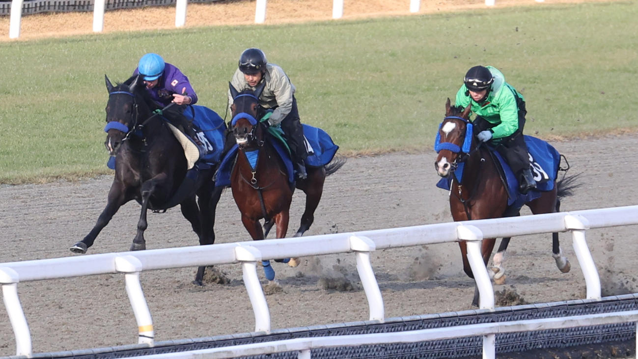 3頭併せで追い切るナイトスラッガー（左）