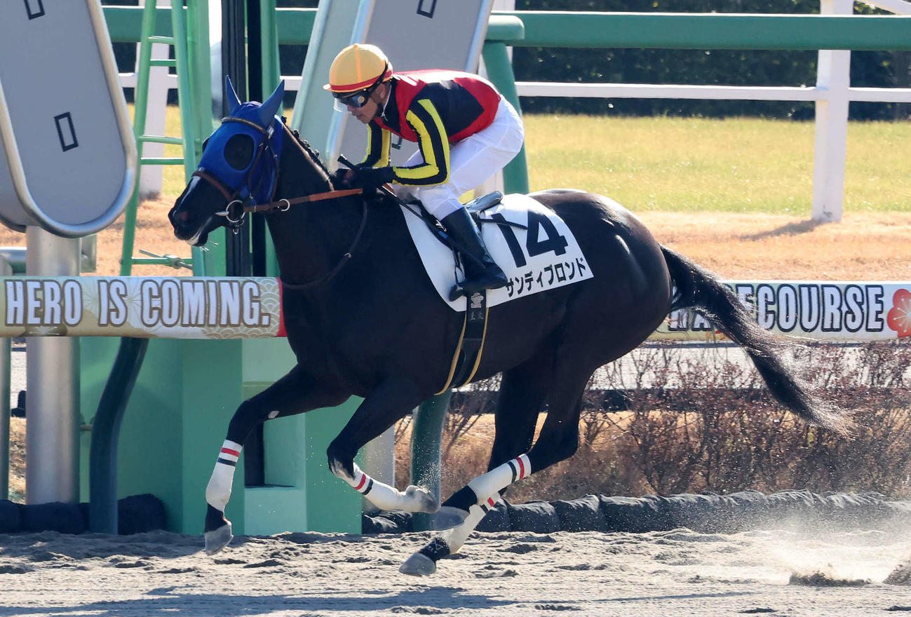中山1R、3歳未勝利戦を制したサディブロンドと戸崎騎手（撮影・丹羽敏通）