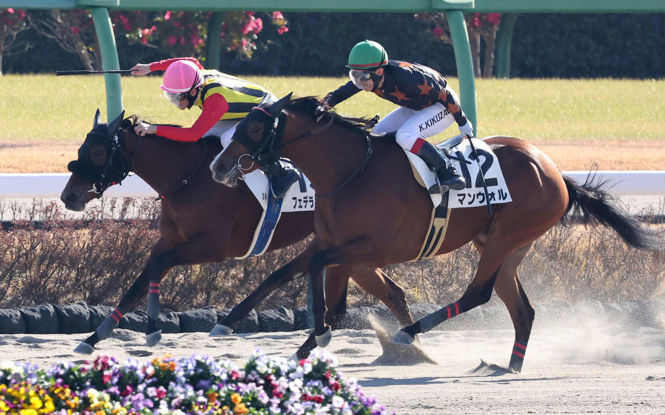 中山3R、3歳新馬戦を制したフェデラルスタイルと津村騎手（奥）（撮影・丹羽敏通）