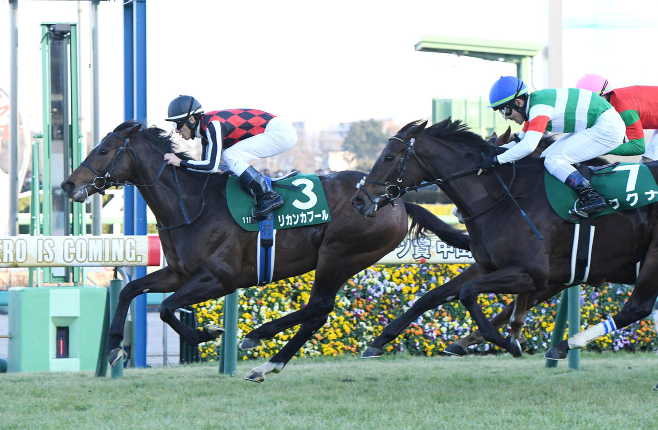 中山金杯を制したリカンカブール（左）、右は2着ククナ（撮影・柴田隆二）