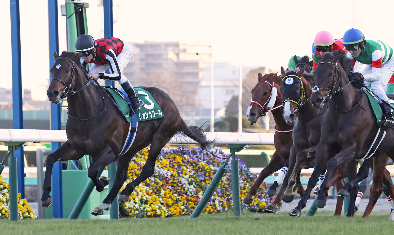 中山金杯を制したリカンカブールと津村騎手（撮影・丹羽敏通）
