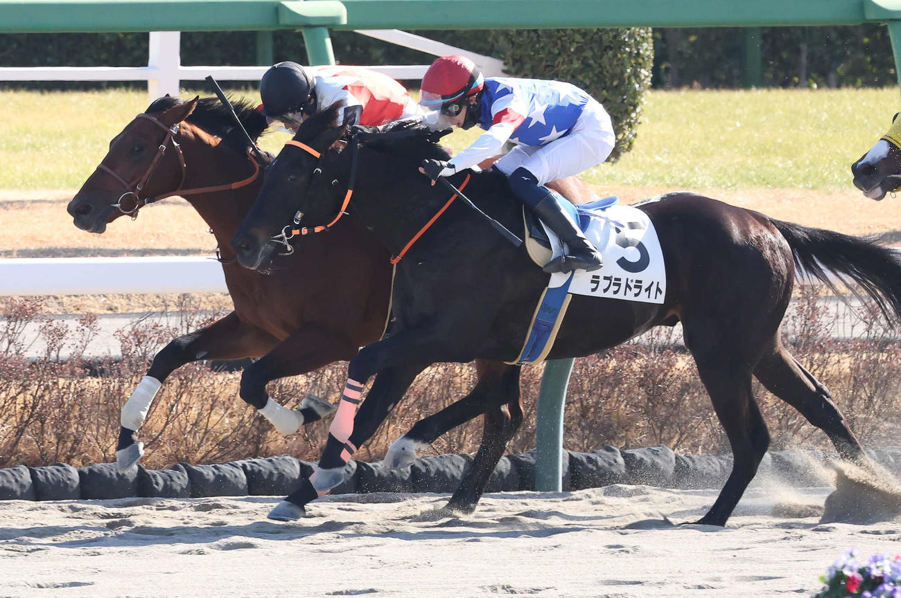 中山4R、3歳新馬戦を制したマコタイガと吉田豊騎手（奥）（撮影・丹羽敏通）