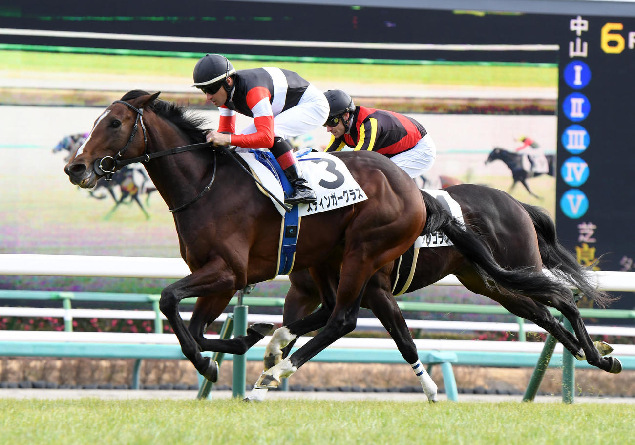 中山6R新馬戦を制したスティンガーグラス（左）、2着アンゴラブラック（撮影・柴田隆二）