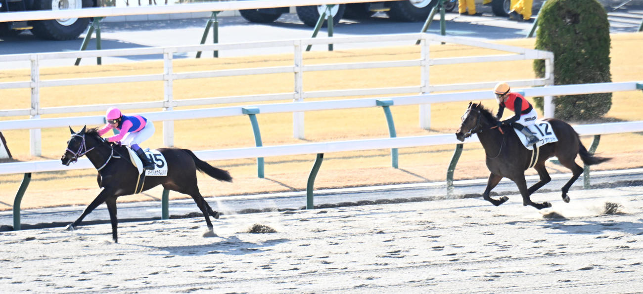 京都2R新馬戦を制したメイショウタムシバと武豊騎手（左）（撮影・和賀正仁）