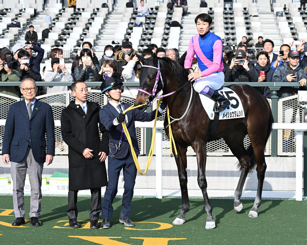 京都2R新馬戦を制したメイショウタムシバと武豊騎手（撮影・和賀正仁）