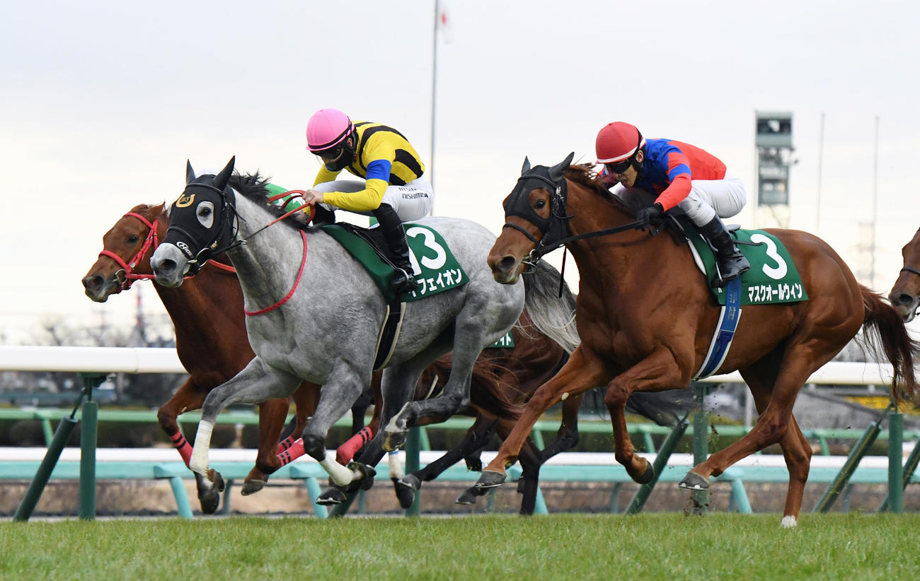 フェアリーSを制したイフェイオン（中央）、2着マスクオールウィン（右）（撮影・柴田隆二）