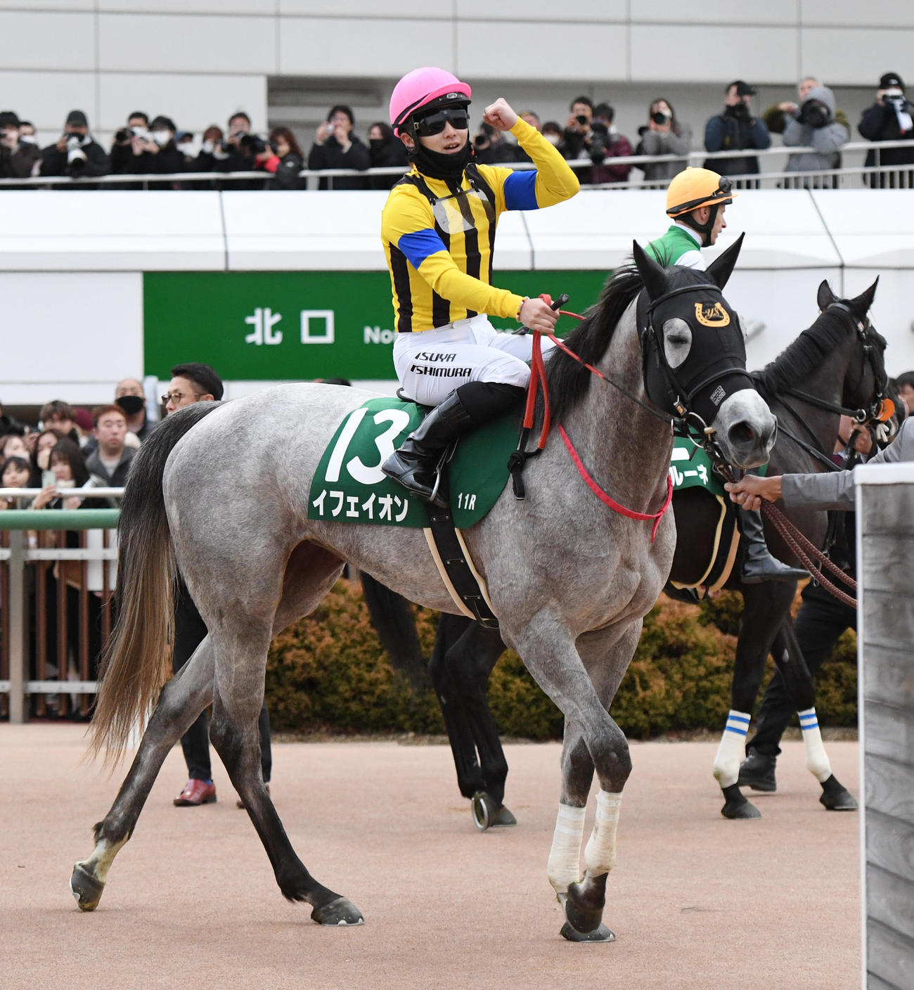 フェアリーSを制したイフェイオンの西村淳騎手はガッツポーズする（撮影・柴田隆二）