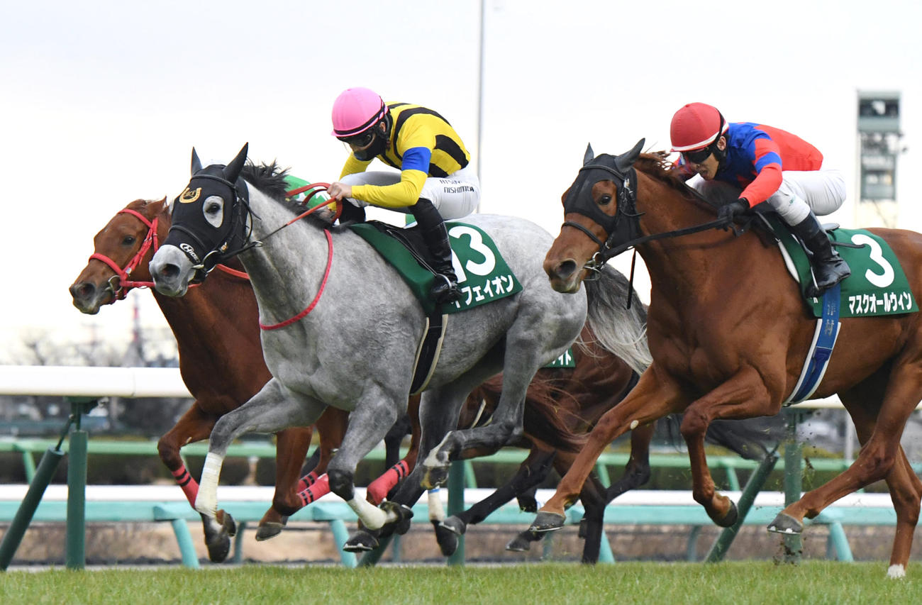 フェアリーSを制したイフェイオン（中央）、2着マスクオールウィン（右）（撮影・柴田隆二）