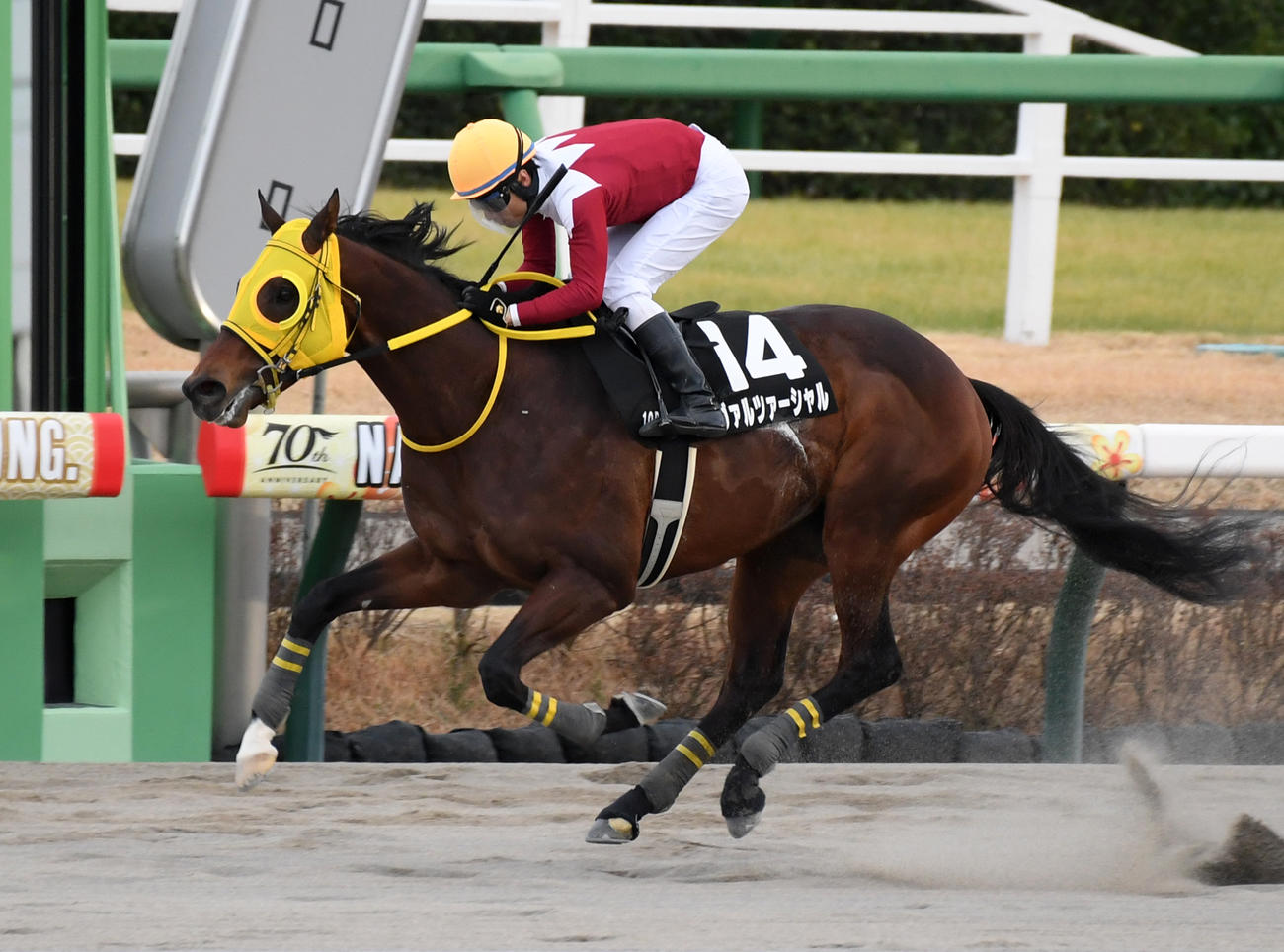 中山10R、ポルックスSを制したヴァルツァーシャルと大野騎手（撮影・柴田隆二）