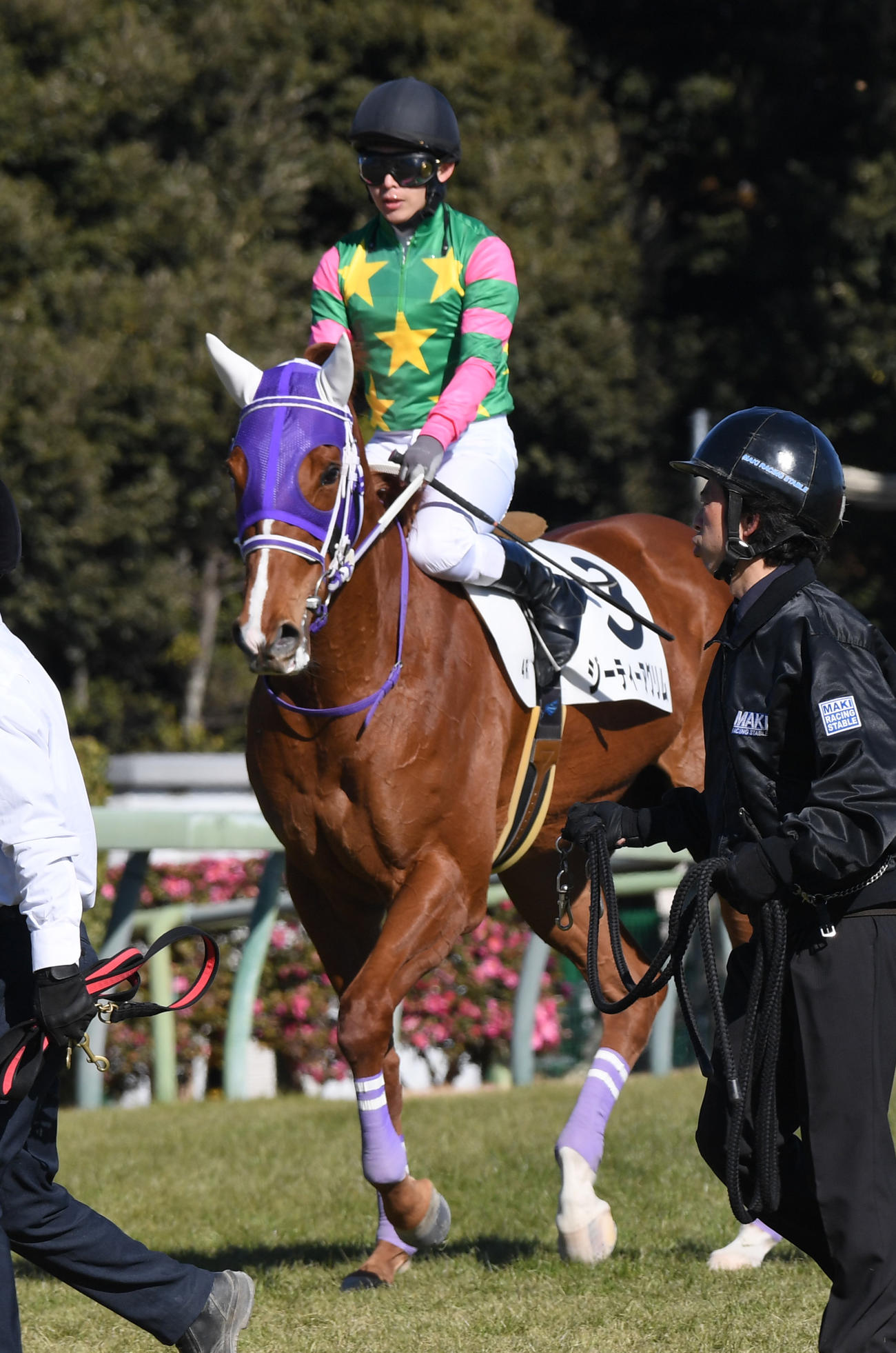 中山4R新馬戦を制したジーティーアグリムと丸田騎手（撮影・柴田隆二）