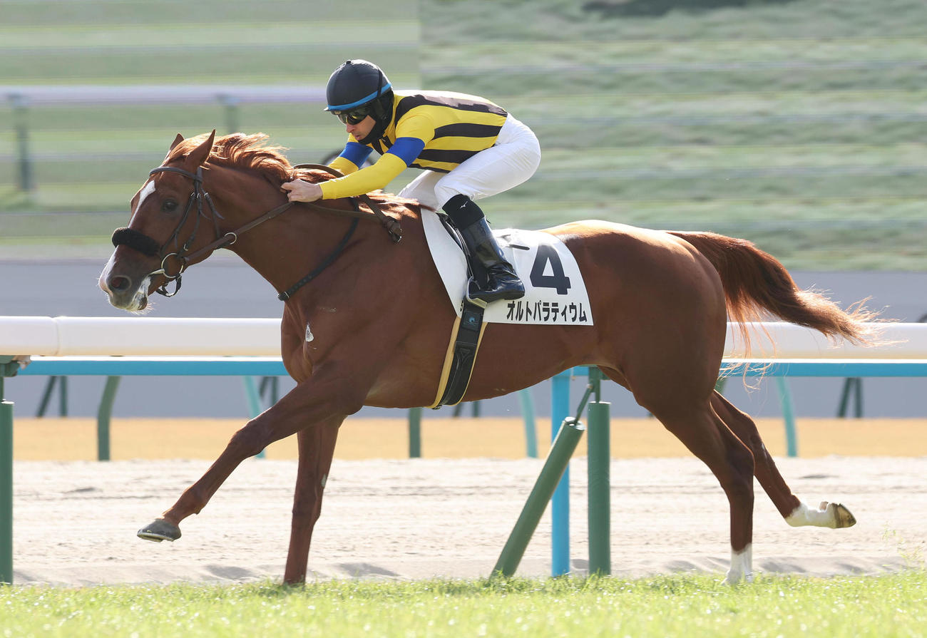京都5R新馬戦を制したオルトパラティウムとルメール騎手（撮影・白石智彦）