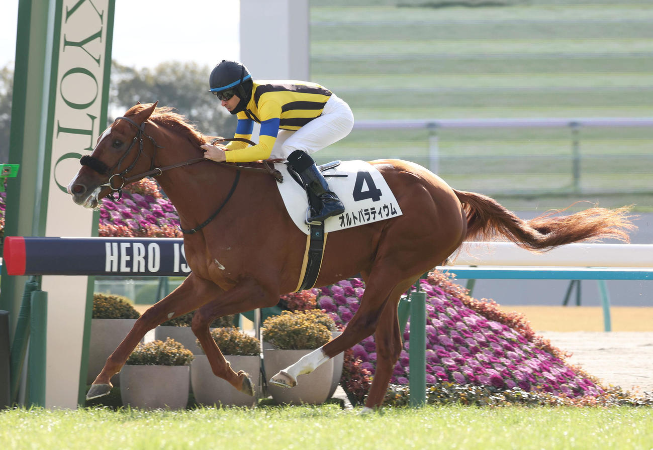 京都5R新馬戦を制したオルトパラティウムとルメール騎手（撮影・白石智彦）