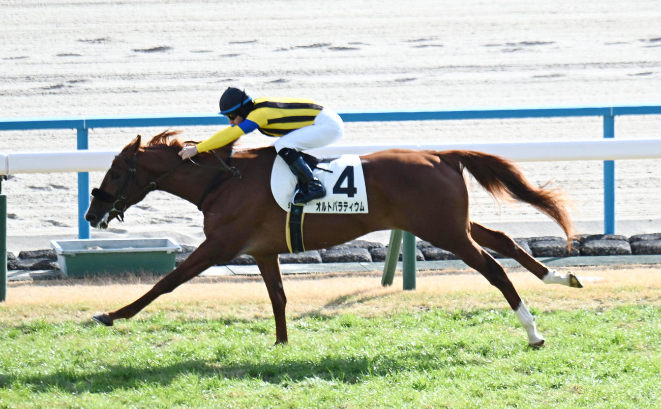 京都5R新馬戦を制したオルトパラティウムとルメール騎手（撮影・和賀正仁）