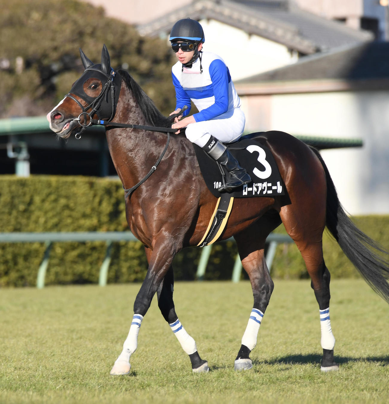 招福Sを制したロードアヴニールと横山和騎手（撮影・柴田隆二）