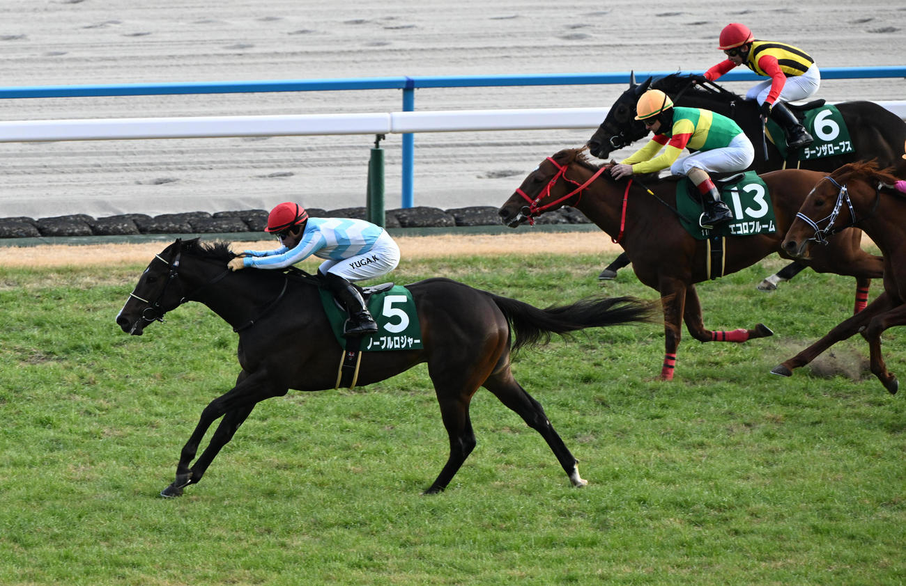 京都11R　直線で抜け出しシンザン記念を制したノーブルロジャーと川田騎手（撮影・和賀正仁）