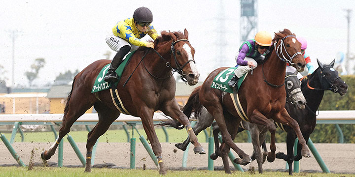 直線外から力強く伸びて愛知杯を制したアートハウス（左）（撮影・白石智彦）＝2023年1月14日、中京競馬場
