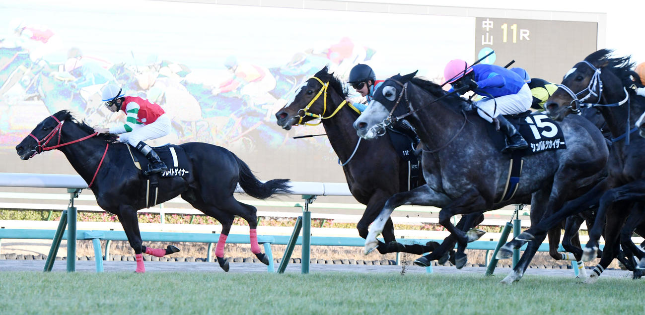 カーバンクルSを制したシュバルツカイザー（左から3頭目）、2着グレイトゲイナー（左端）