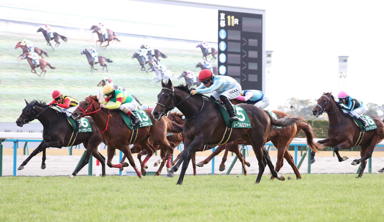 京都11R、大外一気の末脚でシンザン記念を制したノーブルロジャー（左から3頭目）（撮影・白石智彦）