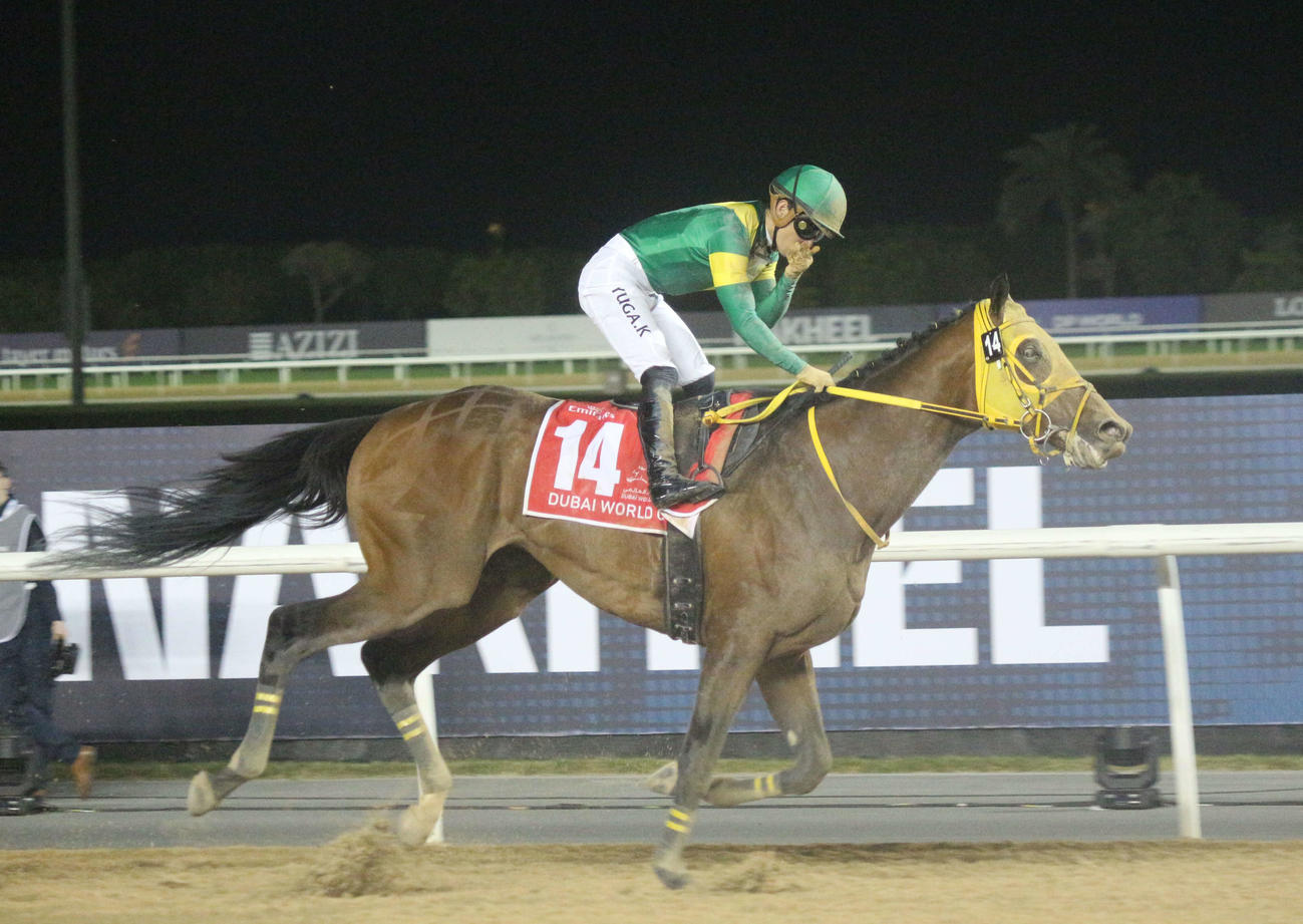 ドバイワールドCを制したウシュバテソーロ（2023年3月25日撮影）