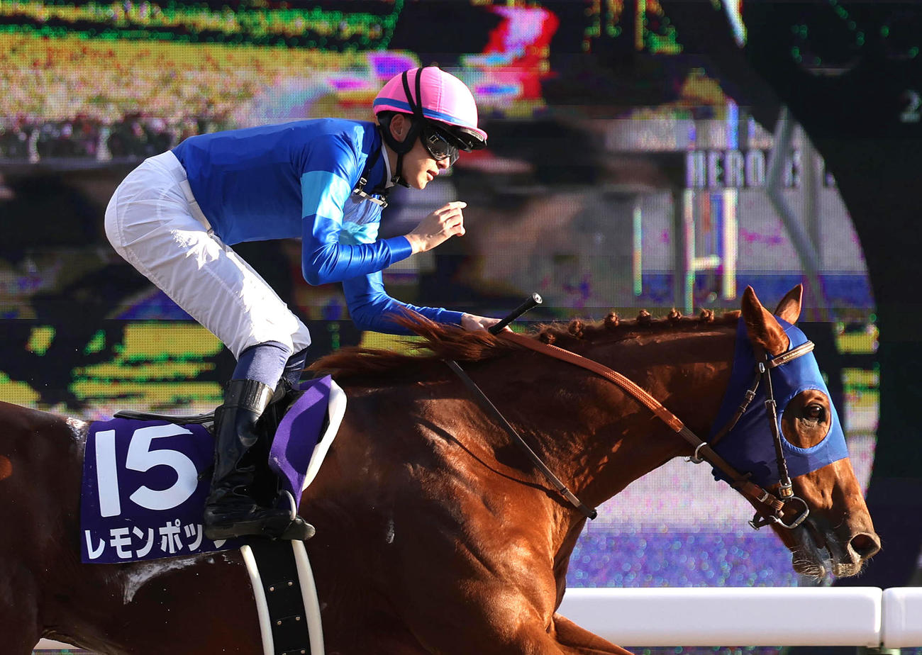 チャンピオンズCを制したレモンポップ（2023年12月3日撮影）
