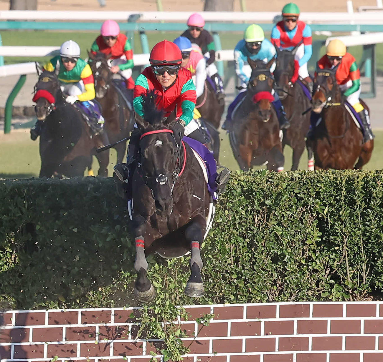 中山大障害を制したマイネルグロン（2023年12月23日撮影）