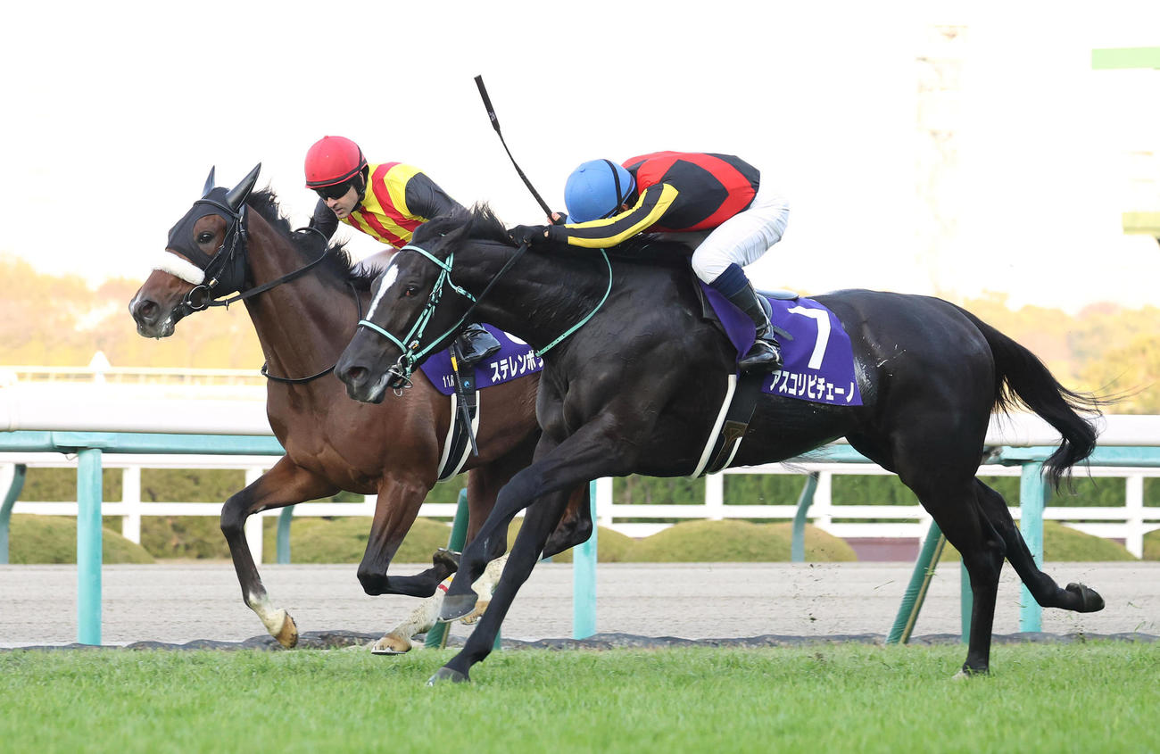 競り合いを制して3連勝で阪神JFを制したアスコリピチェーノ（右）（2023年12月10日撮影）