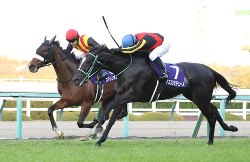 競り合いを制して3連勝で阪神JFを制したアスコリピチェーノ（右）（2023年12月10日撮影）