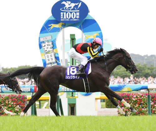 安田記念を制したソングライン（2023年6月4日撮影）