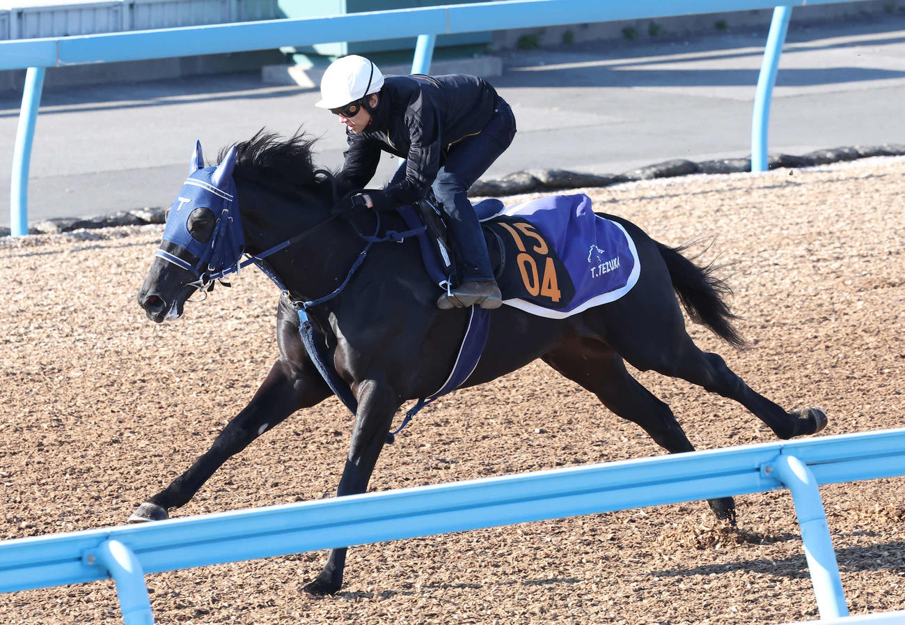 レイデラルースは美浦ウッドを単走で追い切られた（撮影・丹羽敏通）