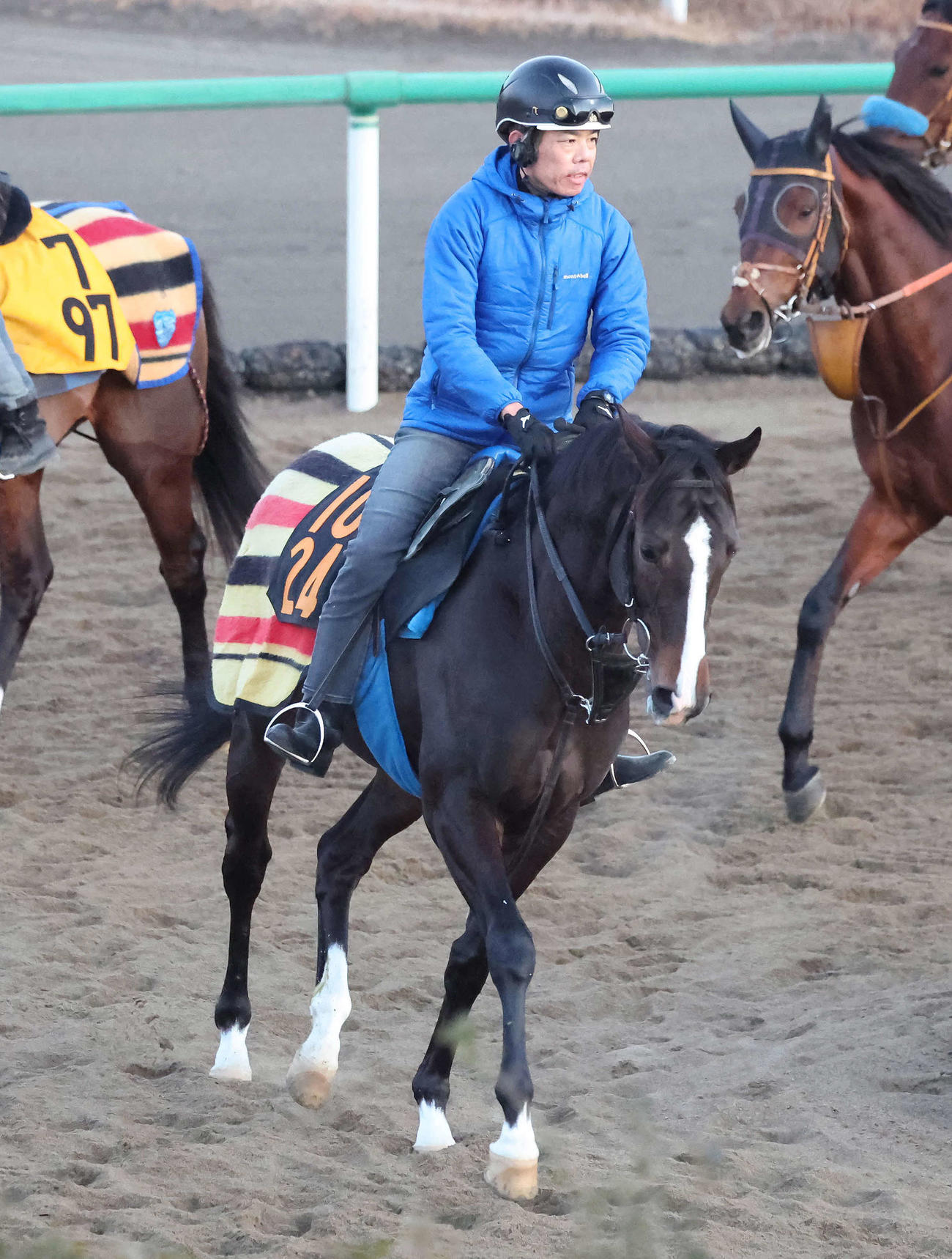 角馬場で運動するバードウォッチャー（撮影・丹羽敏通）