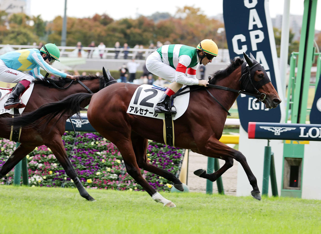 新馬戦を制したアルセナール（右）（2023年11月11日撮影）