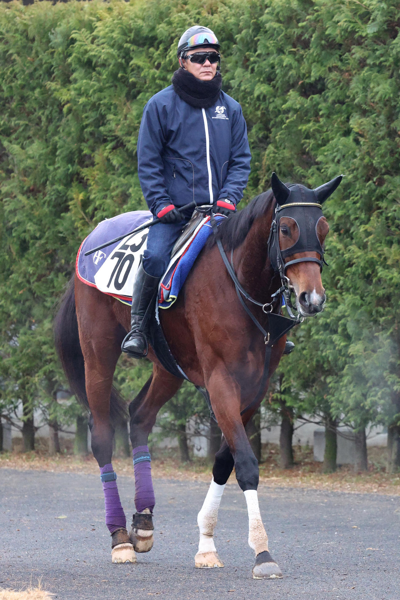 厩舎へ引き揚げるルージュスティリア