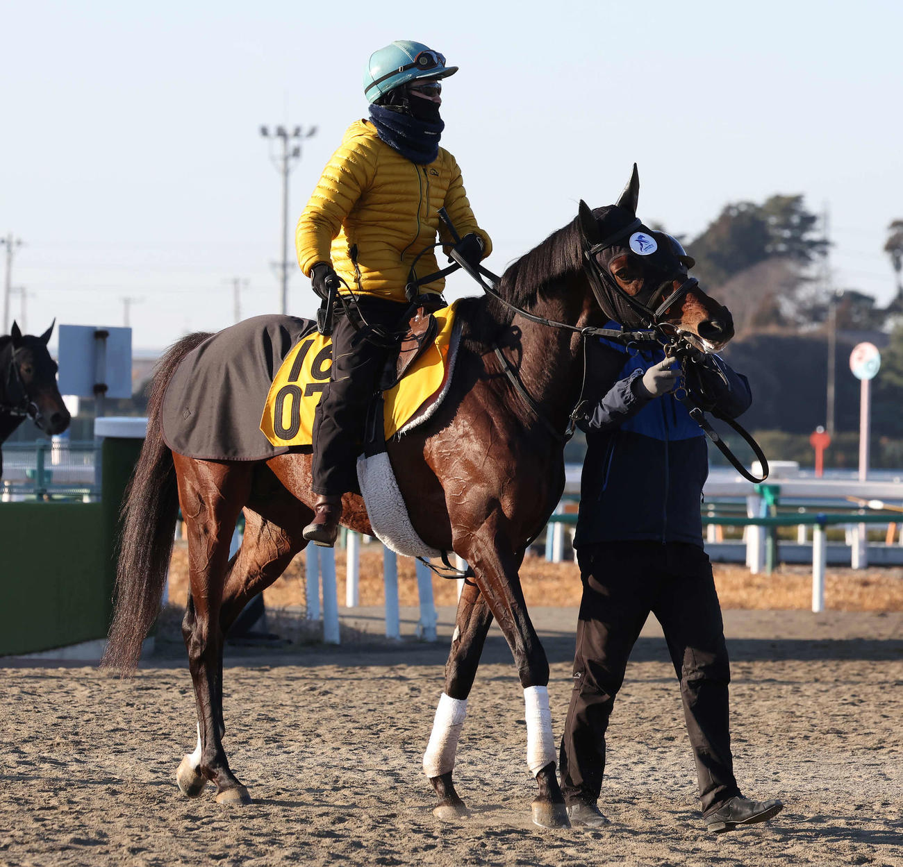 調教を終えて馬場を出るブローザホーンと菅原明騎手（撮影・丹羽敏通）