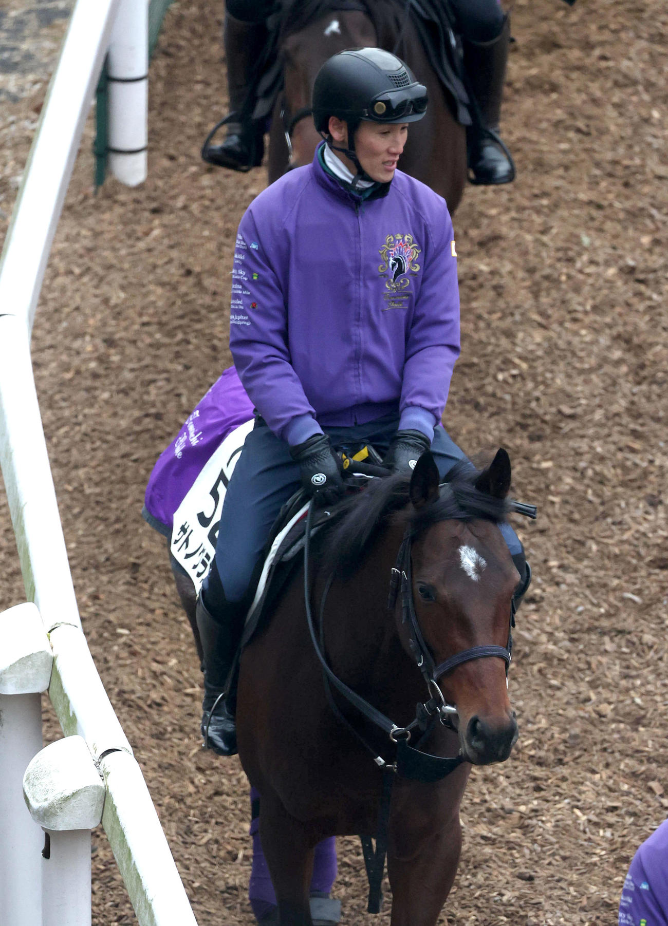逍遥馬道で運動するサトノグランツ（撮影・白石智彦）