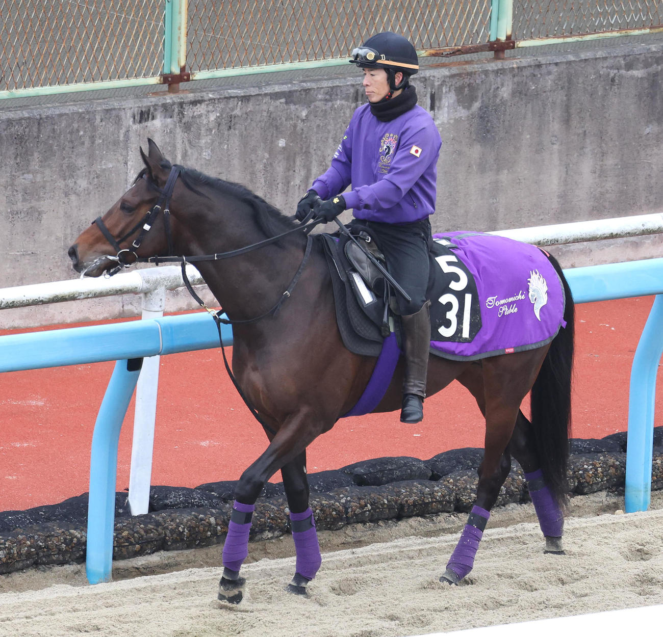 ダートコースで運動するジュンゴールド（撮影・白石智彦）