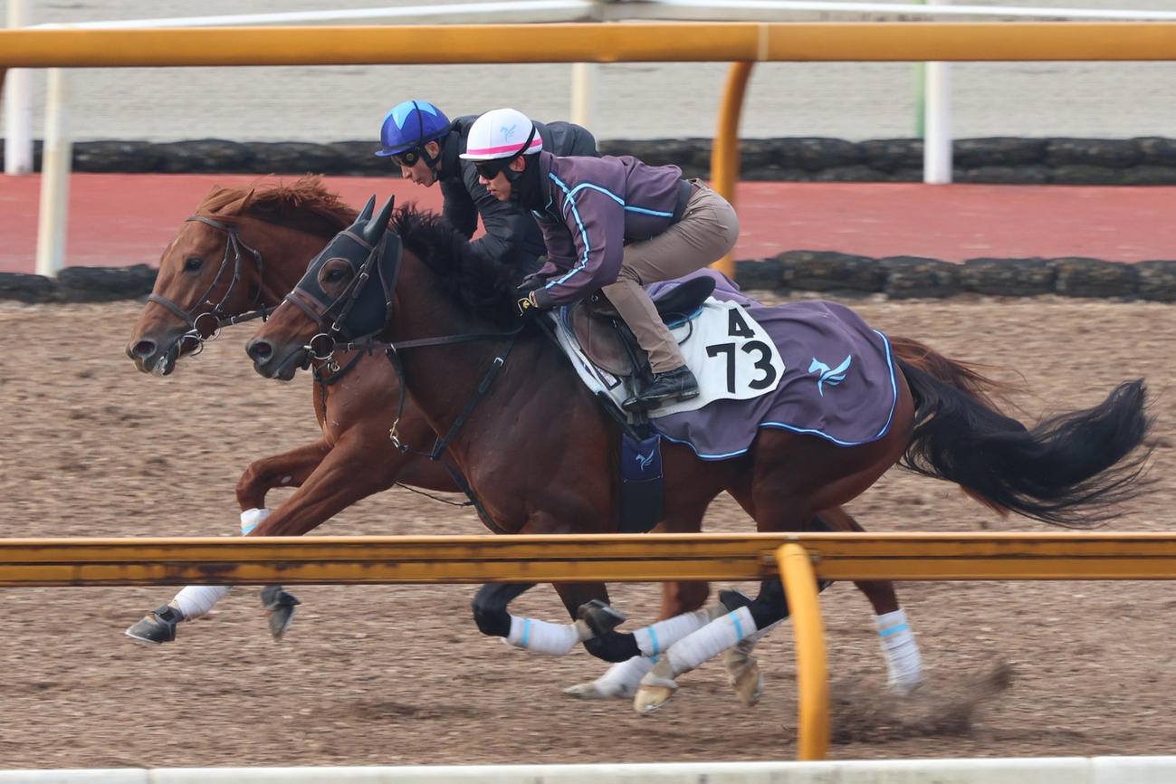 カレンルシェルブル（右）と、併せ馬で時計を出したダノンデサイル