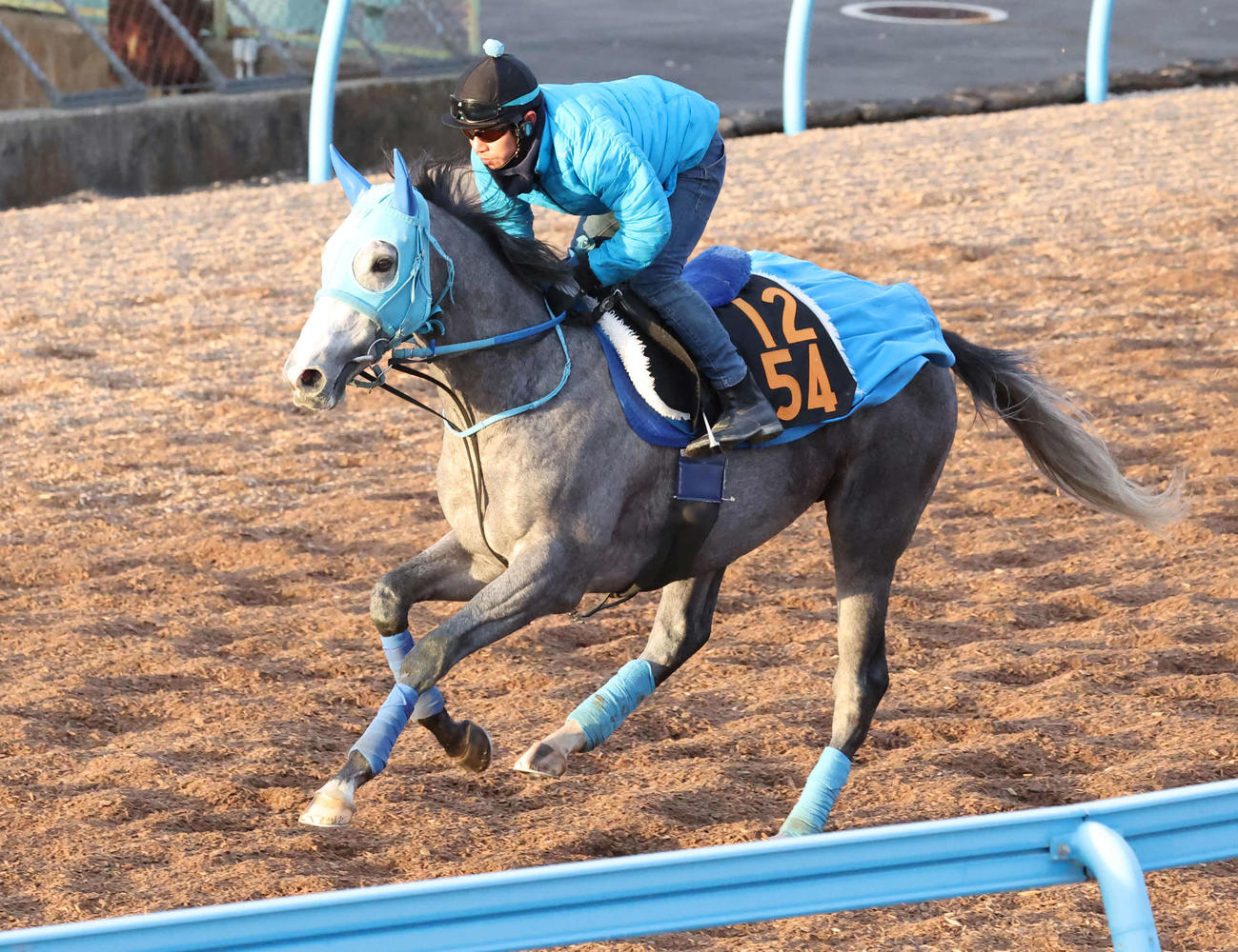 マイネルフランツは美浦ウッドを単走で追い切られた（撮影・丹羽敏通）