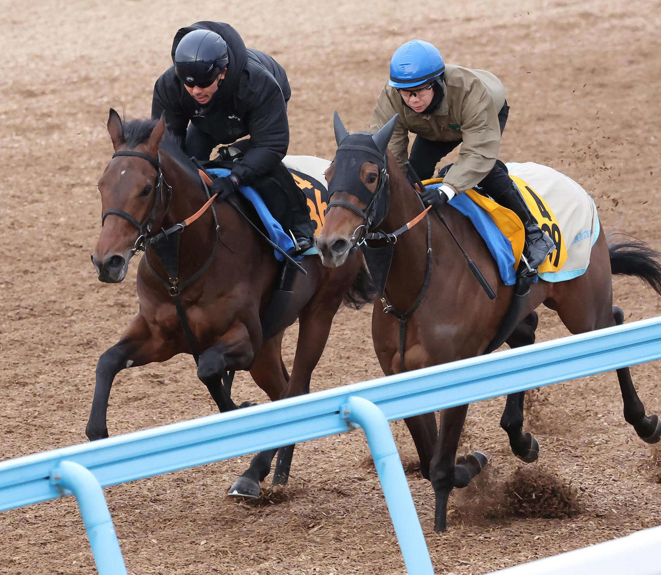 グローリーアテイン（左）は戸崎騎手を背に美浦ウッドでカランセと併せて追い切られた（撮影・丹羽敏通）