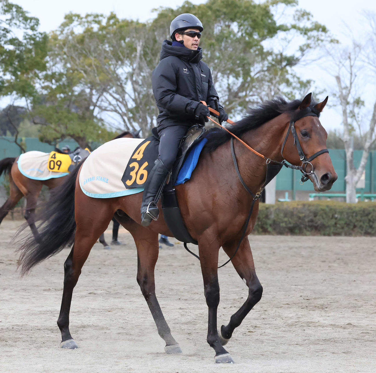 追い切りを終えて馬場を出るグローリーアテインと戸崎騎手（撮影・丹羽敏通）