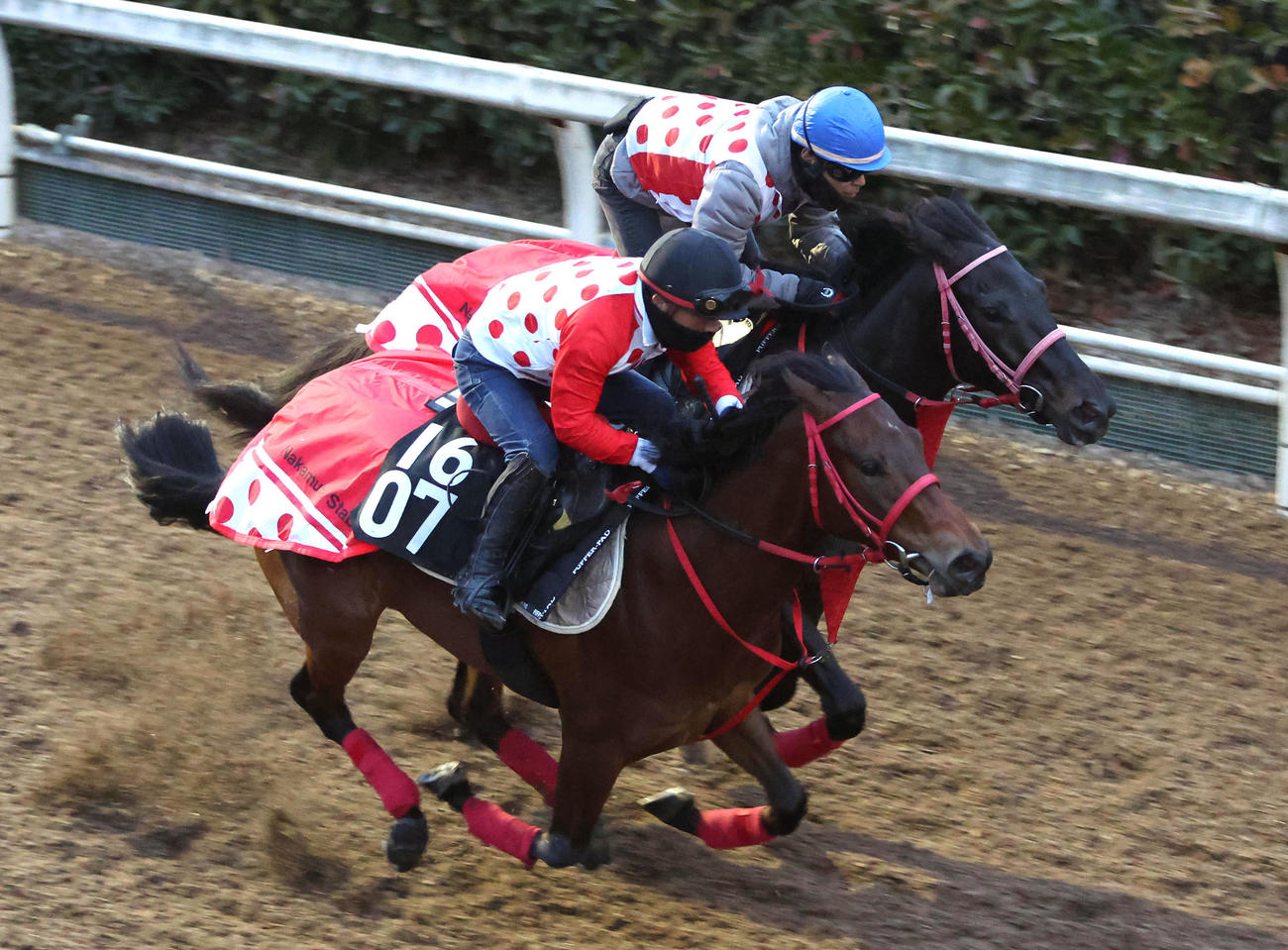 田中健騎手を背に坂路をクラヴィコード（手前）と併せ馬で追い切るハヤテノフクノスケ（撮影・白石智彦）