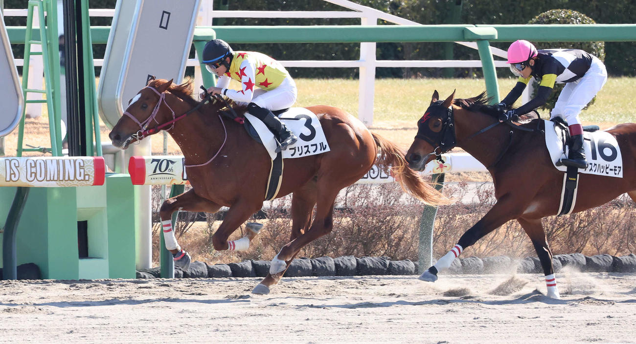 中山4R、3歳新馬戦を制したブリスフルと原騎手（撮影・丹羽敏通）